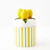 Discount Lemon Ceramic Canister Kitchen Accessories