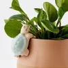 Clearance Timmy Turtle Ceramic Pot Hanger Planters