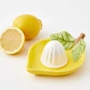 Best Zesty Ceramic Citrus Juicer Kitchen Accessories